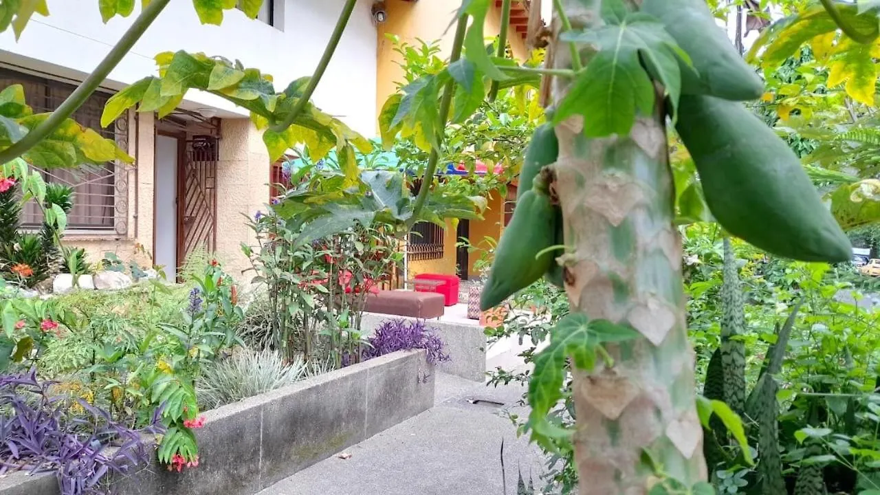 Guest house Saveva Apart Estudio Grupos Y Familias Medellin Colombia